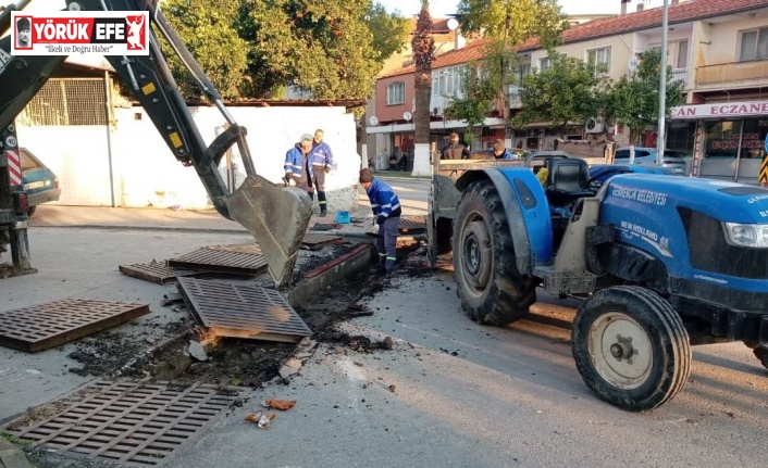 Germencik’te mazgal temizliği
