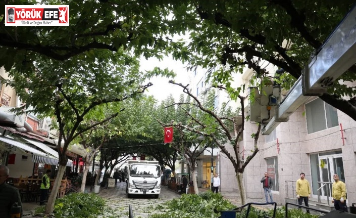 İncirliova Sevgi Yolu’ndaki ağaçlara bakım