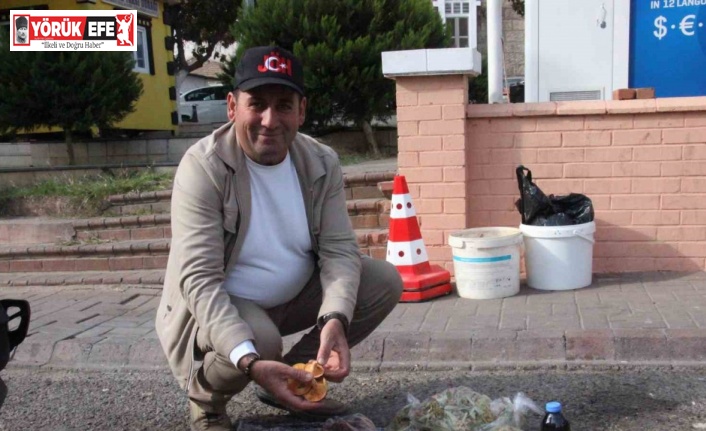 Lezzeti cezbediyor, toplaması dikkat istiyor