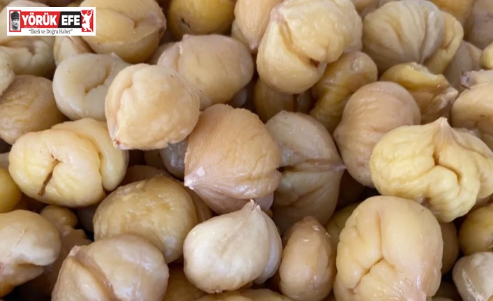 Türkiye’nin yüzde 33’ünü karşılayan Aydın Kestanesi, ihracata hazırlanıyor