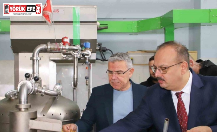 Vali Canbolat, Köşk’te zeytinyağı sıkım işletmelerinde incelemelerde bulundu