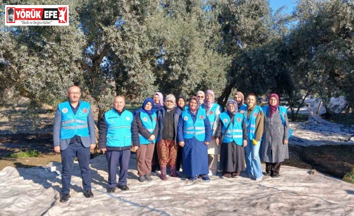 Yatağan’da zeytin hasadı ve bereket duası yapıldı