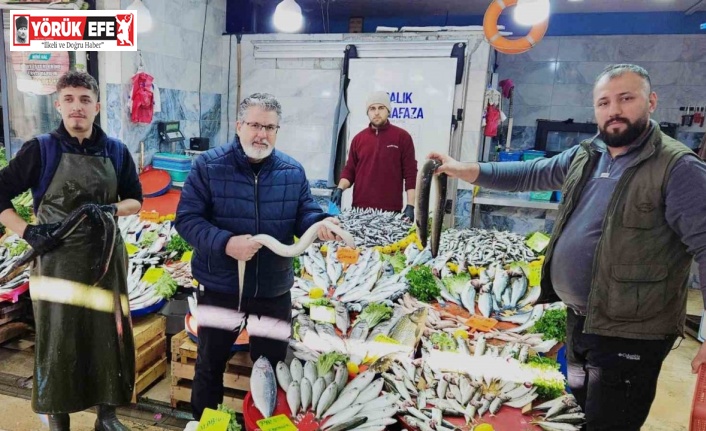 Yılan balıkları7 bin kilometre kat ederek Meksika Körfezi’nden Aydın’a ulaştı