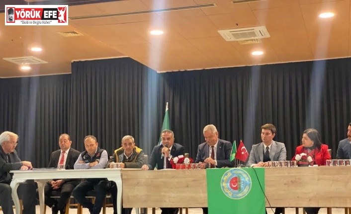 Zeytin üreticileri için destek ve markalaşma önerisi