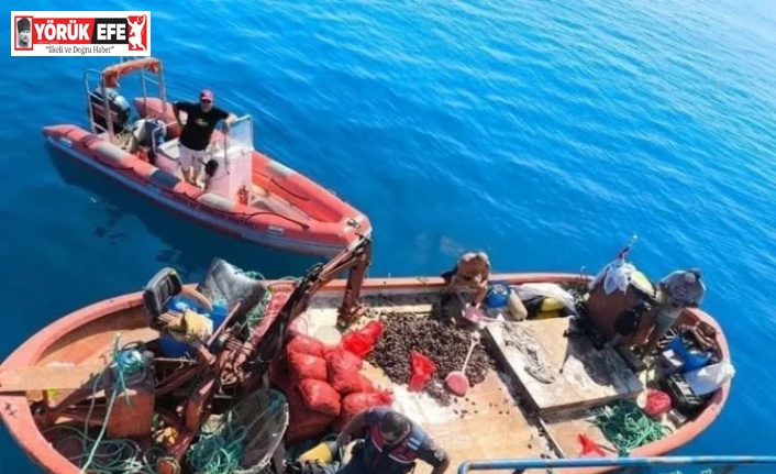 Aydın’da yasa dışı avcılığa geçit verilmiyor: "Bir yılda 5 bin denetim yapıldı"