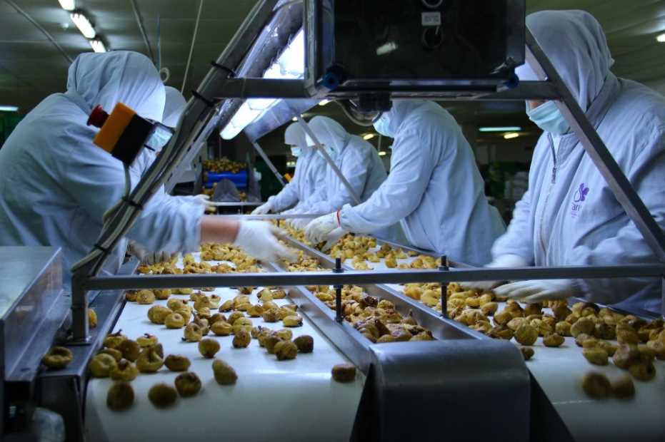 Aydın’Dan Dünyaya 152 Bin Ton Bitkisel Ve Hayvansal Ürün İhraç Edildi 