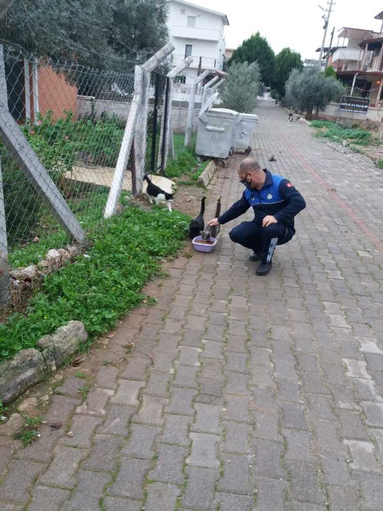 Didim Belediyesi Minik Dostları Unutmadı 