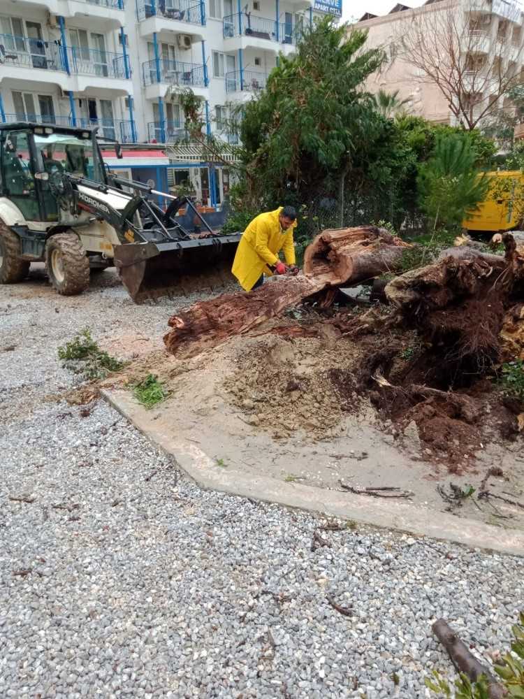 Didim Belediyesi Yağış Sonrası Olumsuzlukları Anında Giderdi 