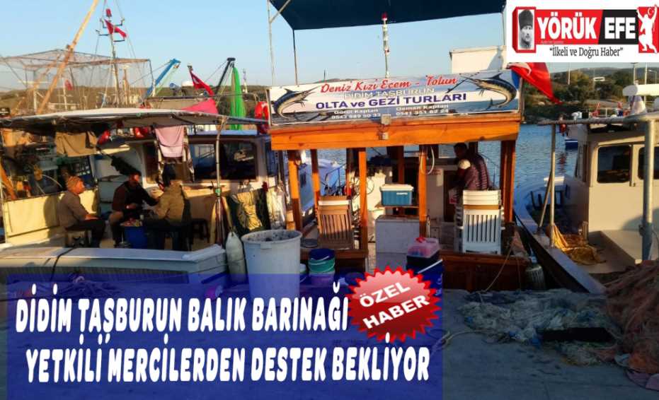 DİDİM TAŞBURUN BALIK BARINAĞI YETKİLİ MERCİLERDEN DESTEK BEKLİYOR