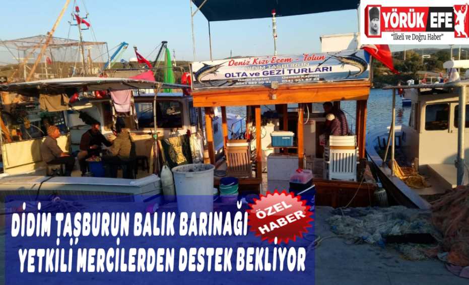 DİDİM TAŞBURUN BALIK BARINAĞI  YETKİLİ MERCİLERDEN DESTEK BEKLİYOR