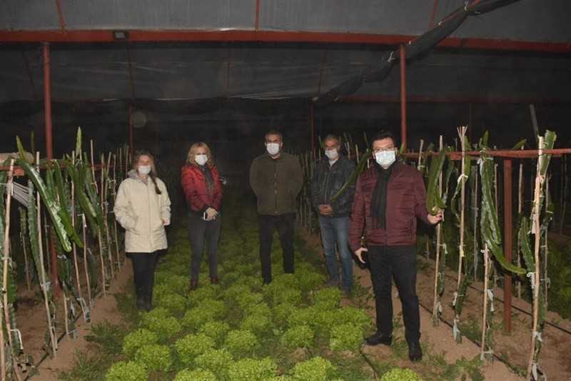 Kaymakam Zirai Don Nöbeti Tutan Çiftçileri Yalnız Bırakmadı 