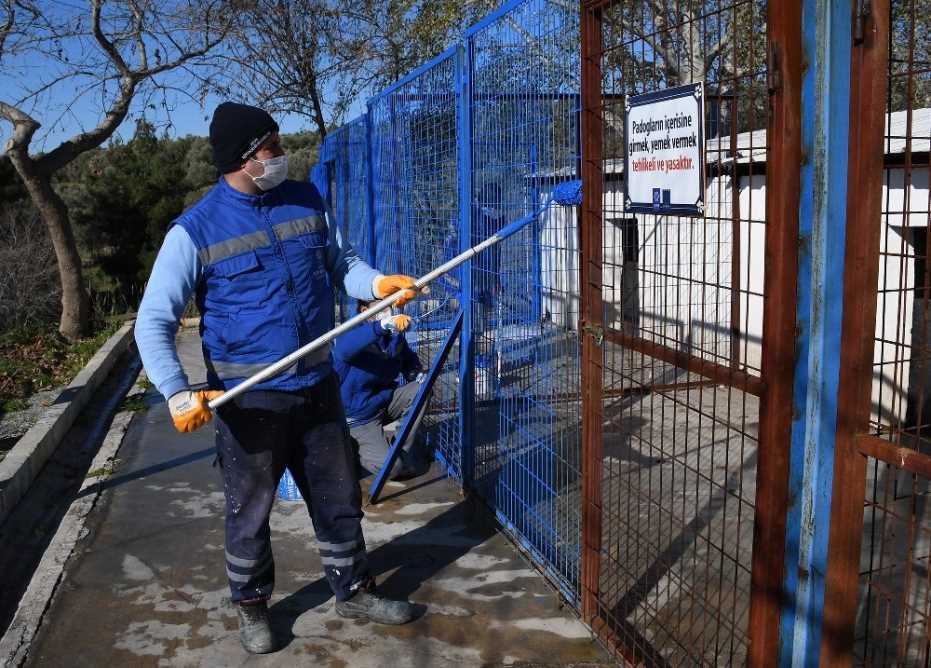 Kuşadası Hayvan Bakım Ve Rehabilitasyon Merkezi Yenileniyor 