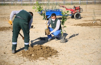 BÜYÜKŞEHİR BELEDİYESİ'NİN 'AYDIN ÇİFTÇİ MERKEZİ' GELİŞMEYE DEVAM EDİYOR