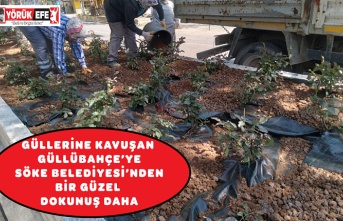 GÜLLERİNE KAVUŞAN GÜLLÜBAHÇE’YE SÖKE BELEDİYESİ’NDEN BİR GÜZEL DOKUNUŞ DAHA