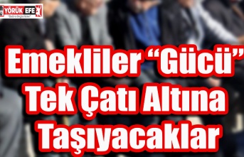 Emekliler Gücü Tek Çatı Altına Taşıyacaklar