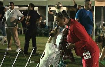Kuşadasında renkli köpek şöleni: International Dog Show sona erdi