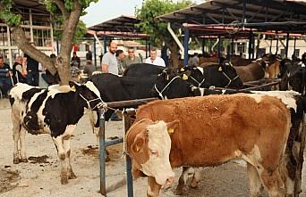 Didimde kurban kesim yerleri belli oldu