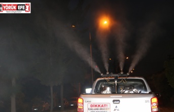 EFELERDE SİNEKLERLE MÜCADELE ÇALIŞMALARINA BİR YENİSİ DAHA EKLENDİ
