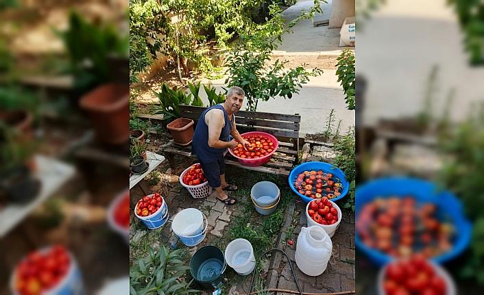 Aydında salça yapım telaşı başladı