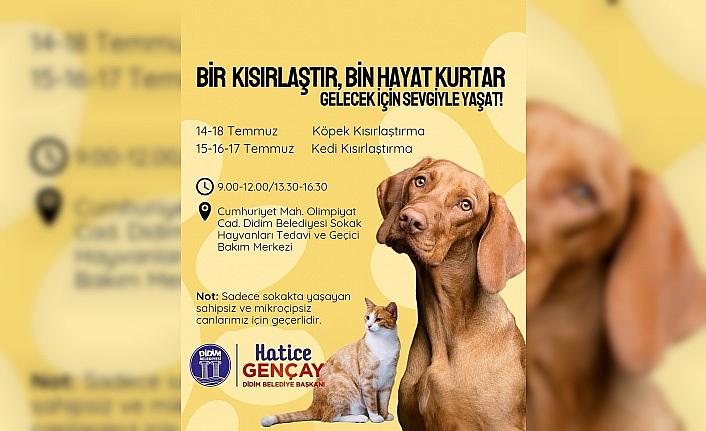 Didim Belediyesinden sokak hayvanlarına ücretsiz kısırlaştırma hizmeti