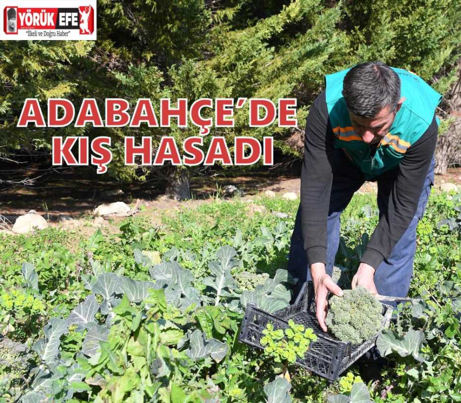 ADABAHÇE’DE KIŞ HASADI