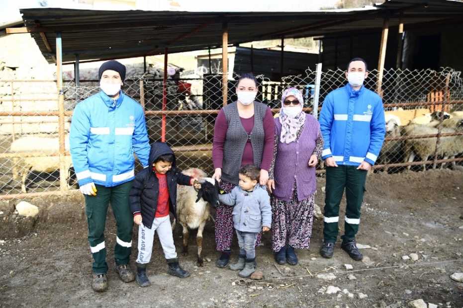 Aydın Büyükşehir, Sakız Koçu Hibesine Devam Ediyor 