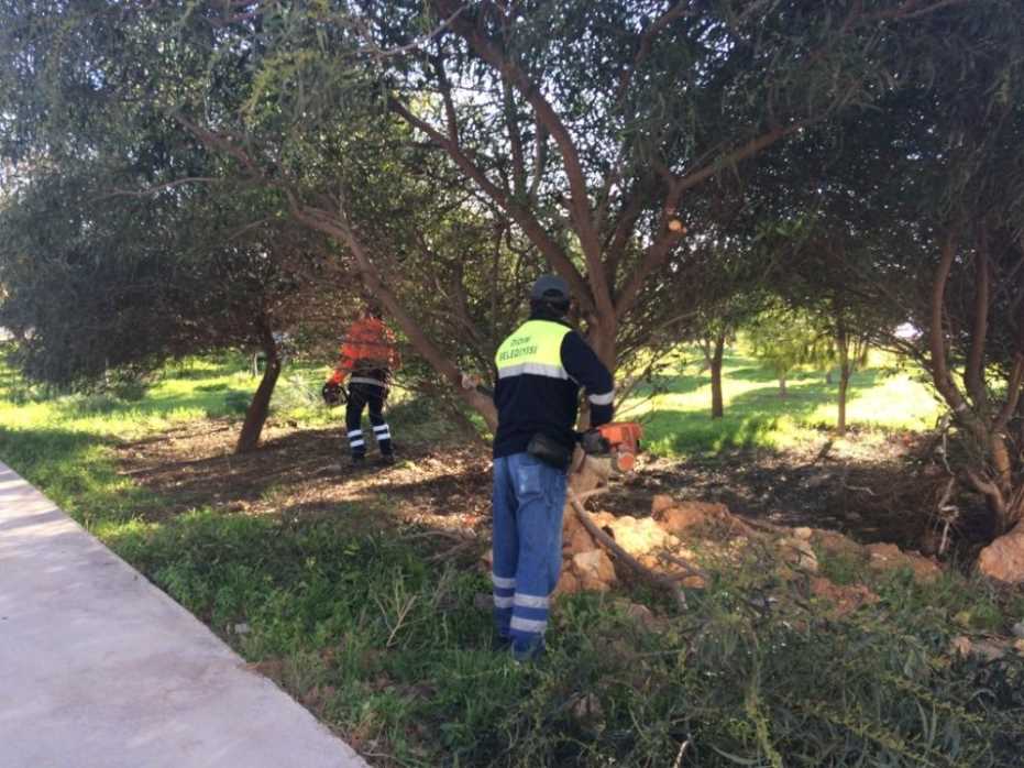 Didim’De Yeşil Alan Çalışmaları Devam Ediyor 