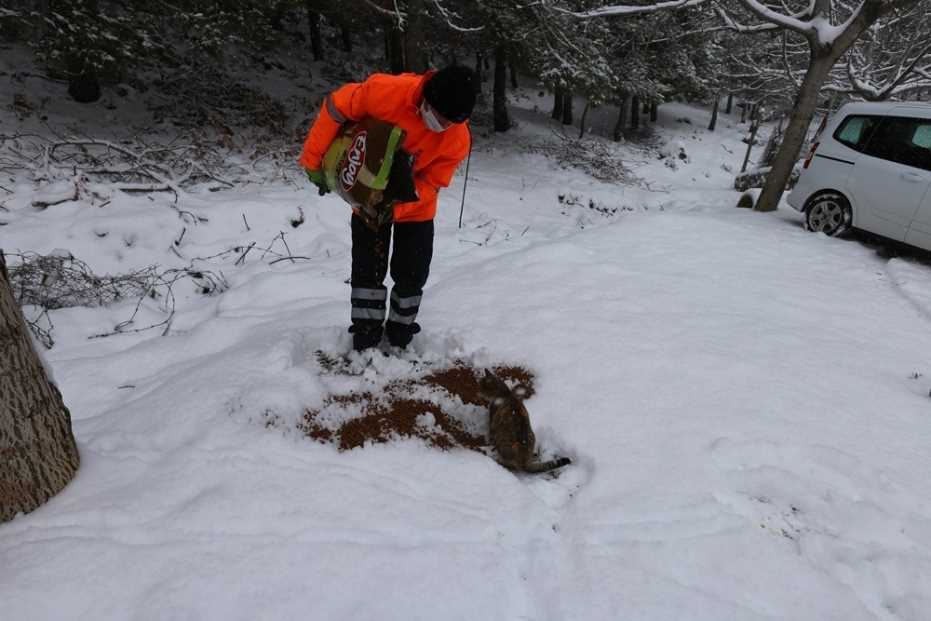 Efeler Belediyesi Kar Mesaisi Yaptı 