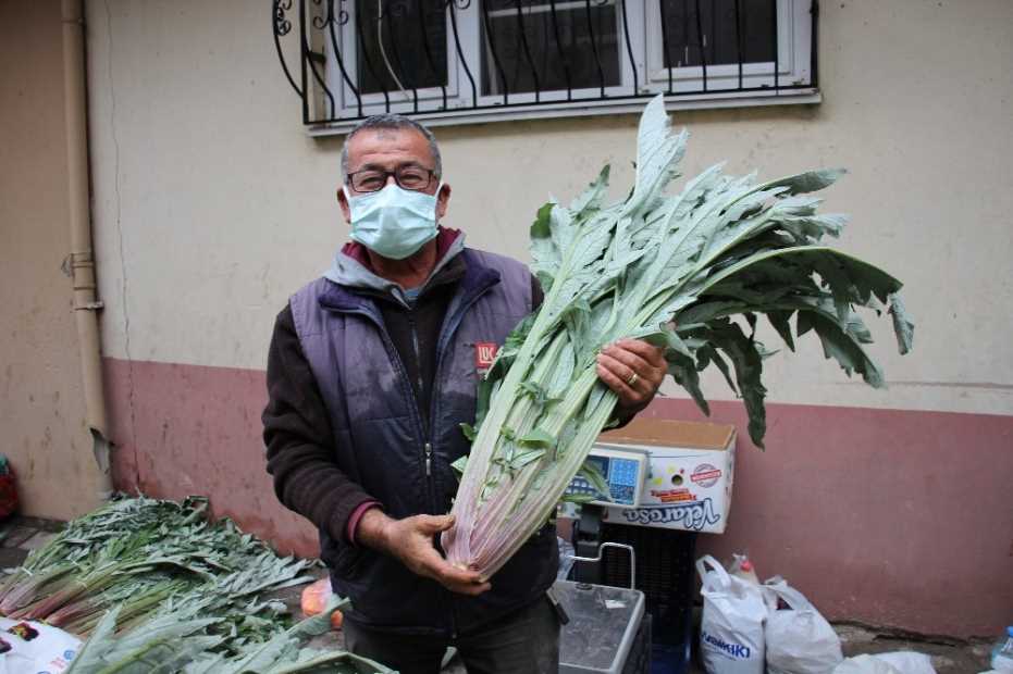 Enginar Pazarın Gözdesi Haline Geldi 