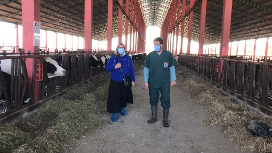 Hibe Kazanan Yetiştiriciler Adsyb Damızlık Düve Merkezi’Nden Düvelerini Almaya Başladı 