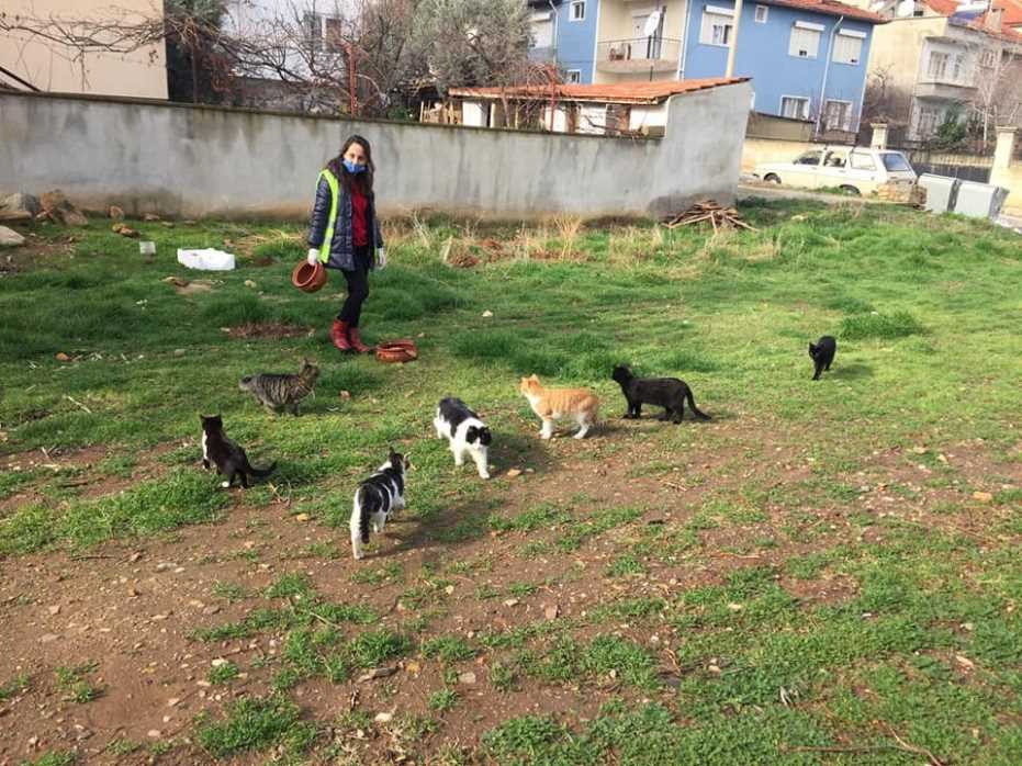 Karacasu’Da Sokak Canları Unutulmadı 