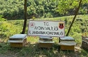 Arı kovanı hırsızları yakalandı