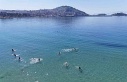 Kuşadası’nda sıcaklık 29 dereceyi bulunca plajlar...