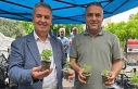 Doğal sivrisinek kovar fesleğenler yoğun ilgi gördü