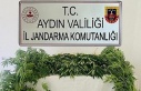 Jandarma ekipleri uyuşturucuya geçit vermedi