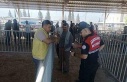 Kurban Bayramı öncesi jandarmadan vatandaşa dolandırıcılık...