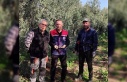 Aydın’da zeytin bahçeleri kontrol edildi