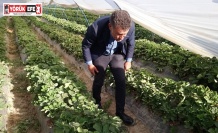 SARIBAL"MİLLET İTTİFAKININ İKTİDARINDA EMEKLİ SENDİKALARI STATÜ KAZANACAK "