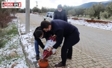 Kaymakam Alpay sokak canlarını unutmadı