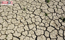 Ege, son 20 yılın en kurak sezonunu yaşıyor