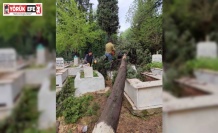 İncirliova’da mezarlıklarda devrilen ağaçlar kaldırılıyor