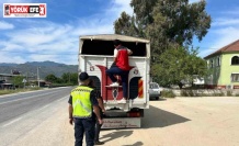 Eksik evrakla canlı hayvan taşıyan 2 kişi cezadan kaçamadı