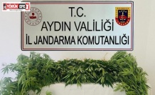 Jandarma ekipleri uyuşturucuya geçit vermedi