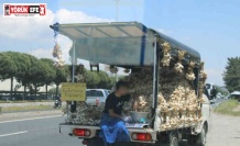 Sarımsak satıcısının tehlikeli yolculuğu