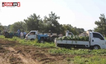 Çukurova’dan sonra Türkiye’nin gözü burada