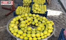 Aydın’ın inciri pazar tezgahlarında 250 liradan satışa sunuldu