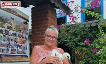 Yavru Leylek EKODOSD’da bakıma alındı, göç için hazırlanıyor