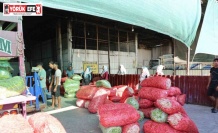 Acarlar’da eli ayağı tutan herkes çalışıyor