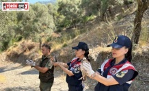 Doğa koruma faaliyetinde 25 bıldırcın ve 21 keklik ele geçirildi