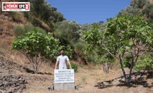 Mezar taşı değil, ‘herkes yesin’ uyarısı
